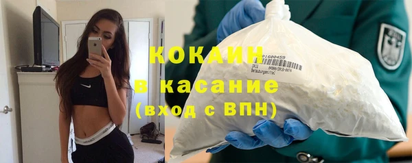 прущие грибы Арсеньев