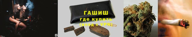 прущие грибы Арсеньев