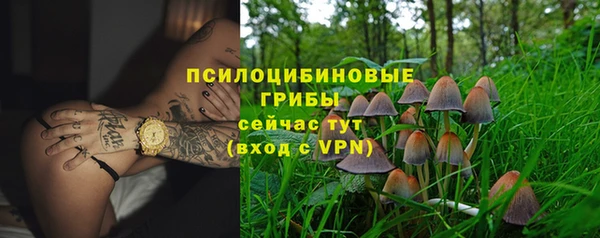 прущие грибы Арсеньев