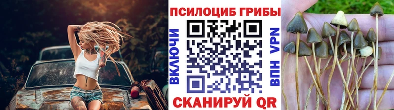 Псилоцибиновые грибы мицелий  даркнет сайт  Малоархангельск 